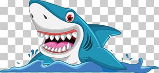 Cartoon Shark PNG, Clipart, Animal, Blue, Cartoon, Cartoon Clipart ...