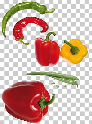 piment png images piment clipart free download imgbin com