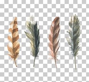 Feather Paper Watercolor Painting PNG