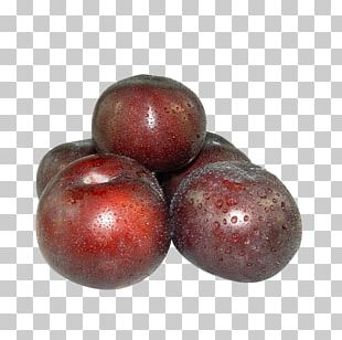 sour plum png images sour plum clipart free download sour plum png images sour plum clipart