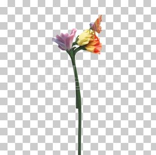 Plant Stem Sweet Pea Cut Flowers Artificial Flower PNG