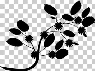Silhouette Leaf Photography PNG
