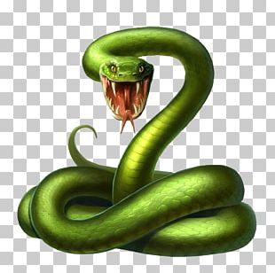 3d Snake, Gradient Snake, Large Pythons, Snake PNG Transparent Clipart  Image and PSD File for Free Download