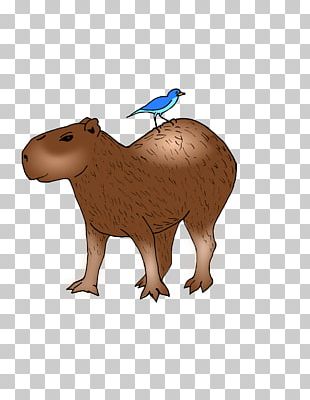 Imagens Capybara PNG e Vetor, com Fundo Transparente Para Download Grátis