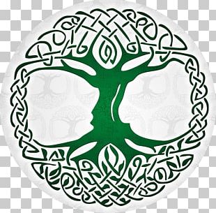 Tree Of Life Drawing PNG, Clipart, Artwork, Black And White, Celtic ...