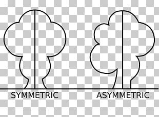 Asymmetry Definition Meaning Art PNG, Clipart, Angle, Area, Art, Art ...