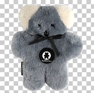 Bears For Kids Koala Australia Child PNG