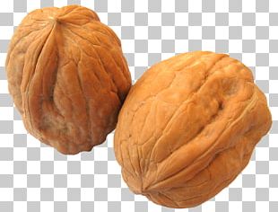 Walnut PNG