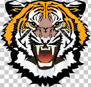 Tiger Head PNG, Clipart, Animal, Animals Hunting, Animal World, Bengal ...