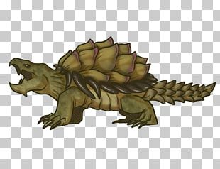 Common snapping turtle png images  PNGWing