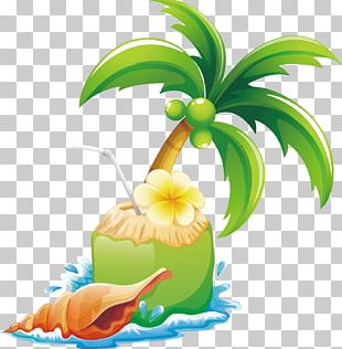 Tree Coconut PNG, Clipart, Christmas Tree, Coconut Tree, Euclidean ...