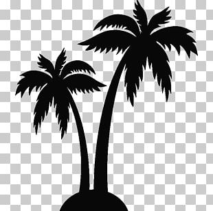 Black Palm Tree Images  Free Photos, PNG Stickers, Wallpapers