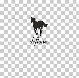 White Pony PNG Images, White Pony Clipart Free Download