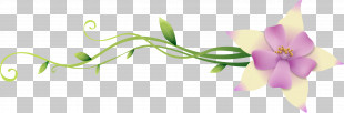 Flower Border Flower Background Flower Line PNG, Clipart, Floral Border ...