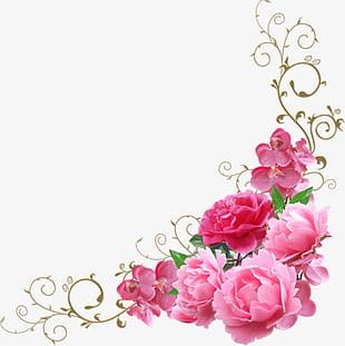 Pink Flowers Png Images Pink Flowers Clipart Free Download