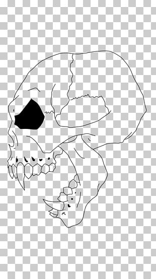 Drawing Skull Sketch PNG, Clipart, Art, Art Museum, Black And White ...
