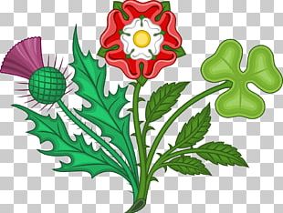 England Tudor Rose House Of Tudor House Of Lancaster PNG