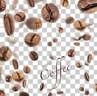 Coffee Bean Tea Mooncake PNG