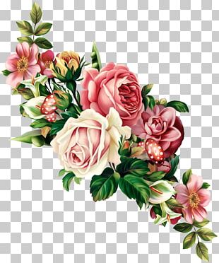 Vintage Roses: Beautiful Varieties For Home And Garden PNG, Clipart ...