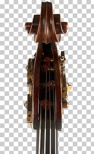 Cello Double Bass Violin Volaris PNG