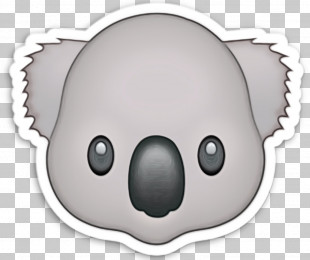 Koala Bears Emoji Cuteness Marsupials PNG