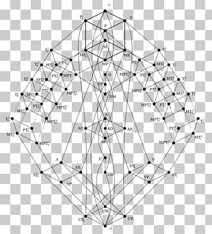 Hasse Diagram Drawing Painting Art PNG