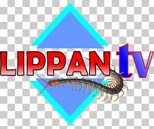 Television Jambi Mass Media 0 PNG