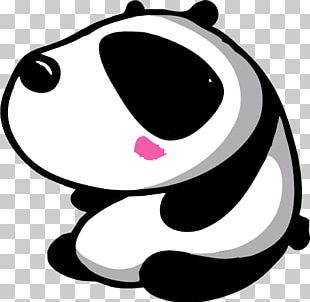 Giant Panda Cuteness IPhone 6 Koala Software PNG