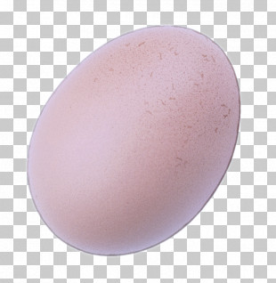 Egg PNG