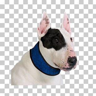 Dobermann Dog Collar Leash Pet PNG