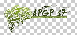 Bass Fishing Largemouth Bass Logo PNG