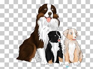 Dog Breed Puppy Bernese Mountain Dog Great Pyrenees Companion Dog PNG