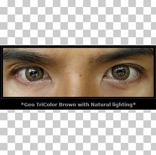 Eyelash Extensions Brown Eye Shadow Eye Liner Contact Lenses PNG