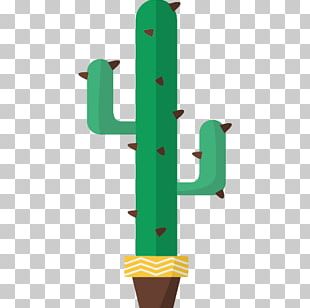 Mexico Scalable Graphics Icon PNG