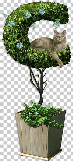 Kedi Png Images Kedi Clipart Free Download