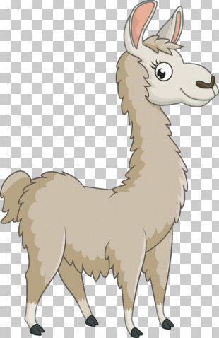 Llama PNG