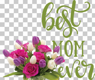 Mothers Day Best Mom Ever Mothers Day Quote PNG