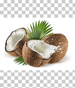 Coconut Milk Powder Coconut Water PNG, Clipart, Brown, Brown Coconut ...