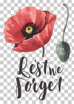 Lest We Forget - Red Poppy For Remembrance Day PNG