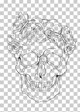 Drawing Skull Line Art Sketch PNG, Clipart, Artwork, Black And White ...