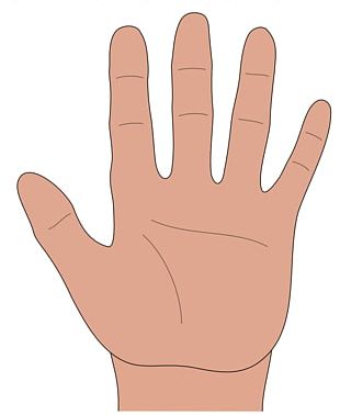 Hand Drawing PNG