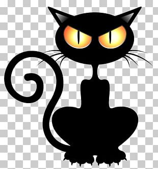 Black Cat Kitten Photography PNG, Clipart, Animals, Black And White ...