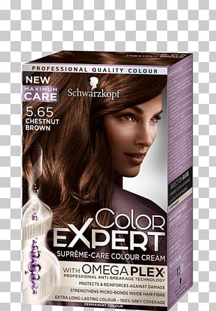 Hair Coloring Human Hair Color Blond Garnier Png Clipart Beauty