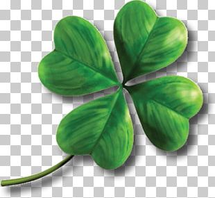 Clover PNG, Clipart, Clover Free PNG Download