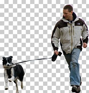 Domestic Rabbit Dog Walking Pet Sitting PNG, Clipart, Animal, Animal ...