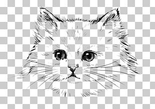 Persian Cat Kitten Black Cat Drawing Png, Clipart, Angle, Art, Black 