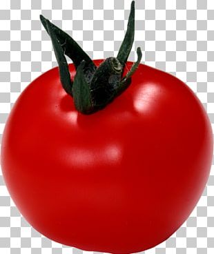 Vegetable Cherry Tomato PNG