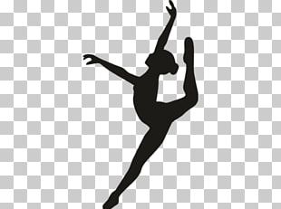 Orlando Ballet Dancer Choreographer PNG, Clipart, Abdomen, Arm, Balance ...