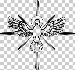 Columbidae Holy Spirit In Christianity Doves As Symbols PNG, Clipart ...