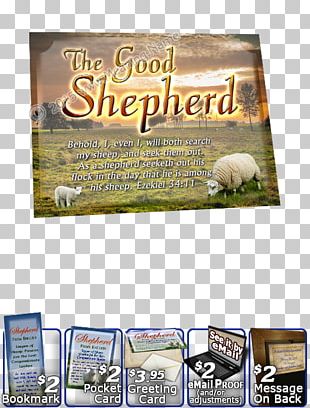Name Meaning Keyword Tool Text Bible PNG
